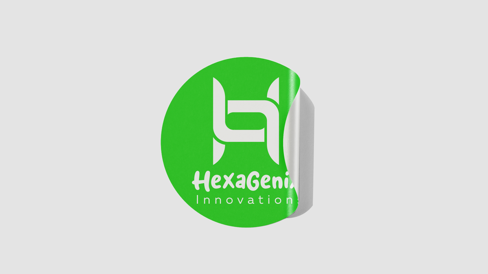 Hexagenix Web Mockup 3