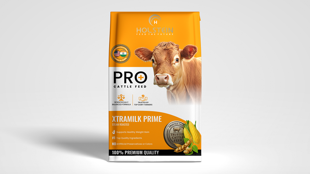 Holstein Web Mockup 6 (1)tp