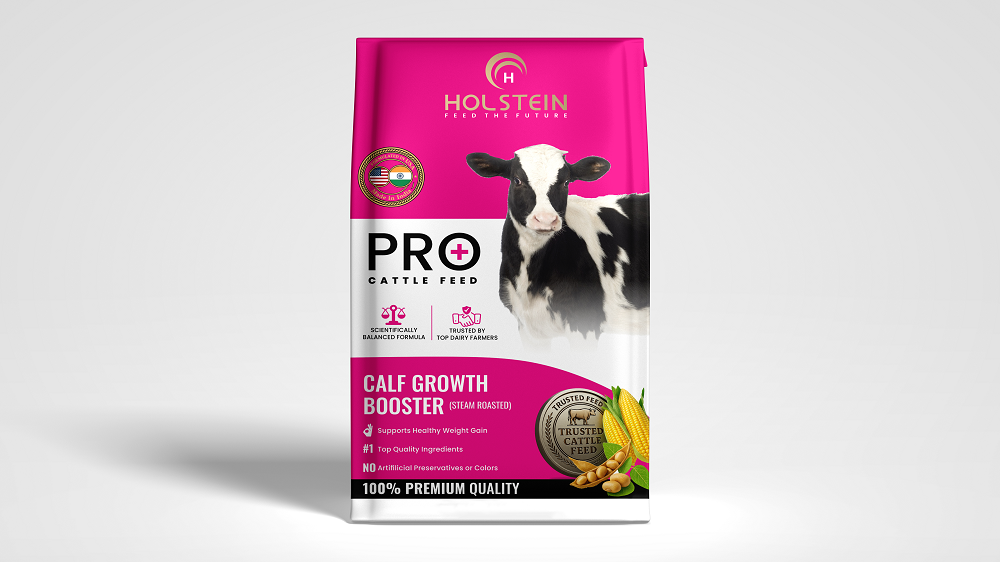 Holstein Web Mockup 6 (3)tp