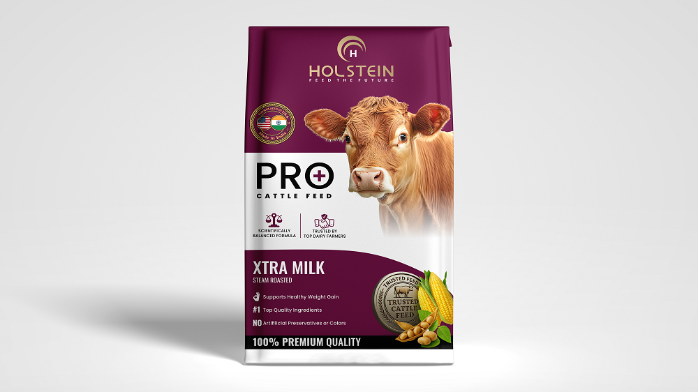 Holstein Web Mockup 6 (4)tp