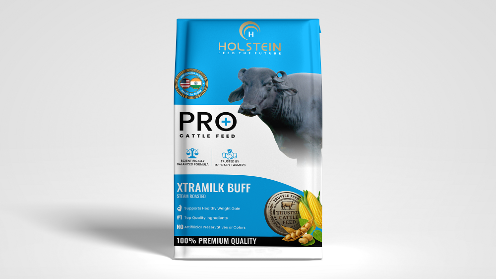 Holstein Web Mockup 6 (5)tp