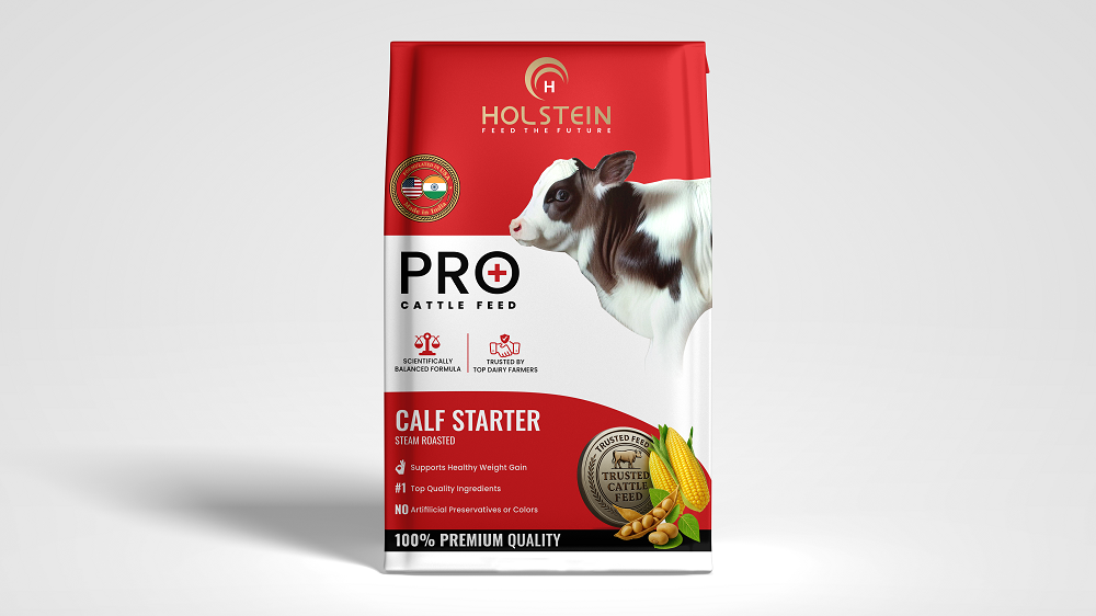 Holstein Web Mockup 6 (6)tp