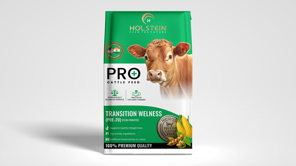 Holstein Web Mockup 6 (7)tp