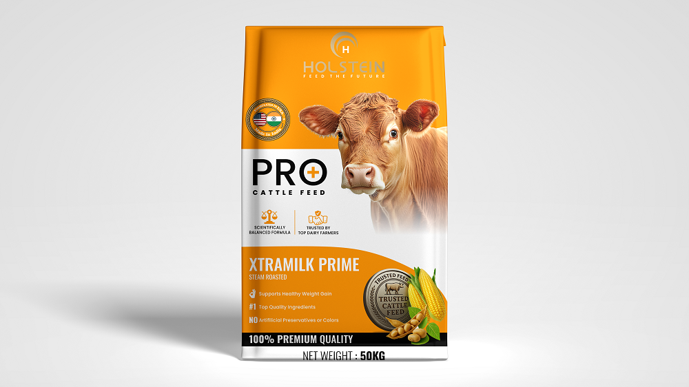 Holstein Web Mockup 6