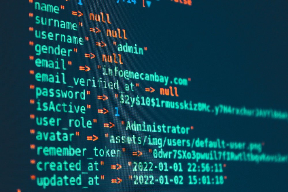 Custom Web Development Services India