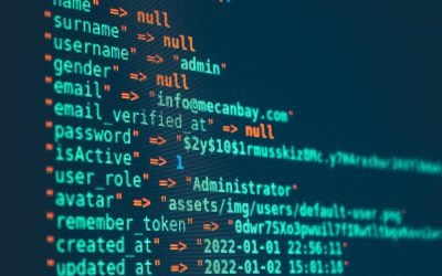 Custom Web Development Services India